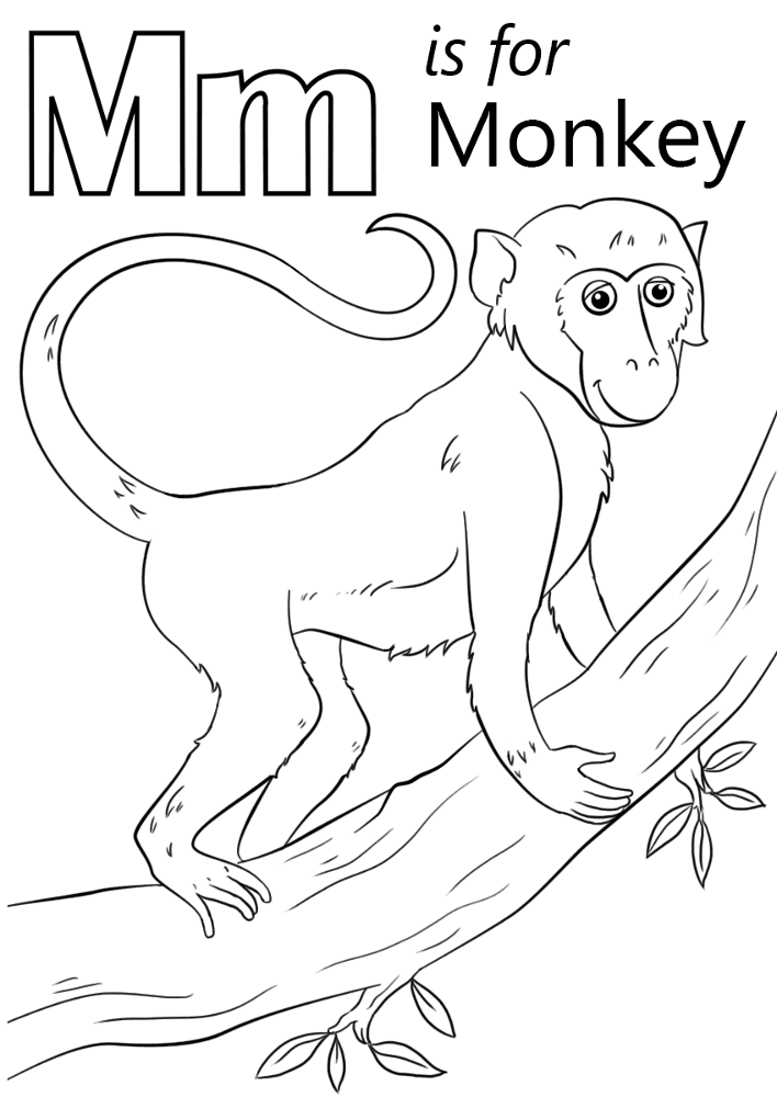 Desenho de Macacos para colorir