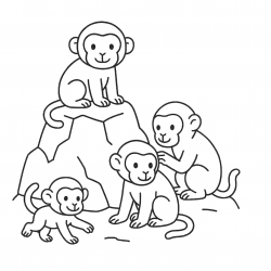 Desenho de Macacos para colorir