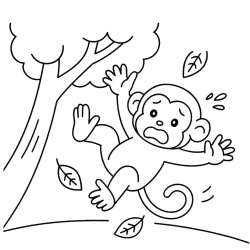 Desenho de Macacos para colorir