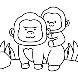 Desenho de Macacos para colorir