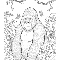 Desenho de Macacos para colorir