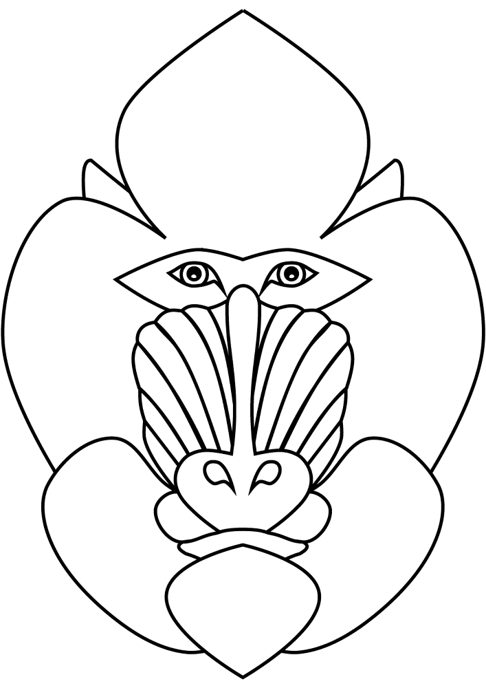 Desenho de Macacos para colorir