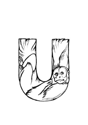 Desenho de Macacos para colorir