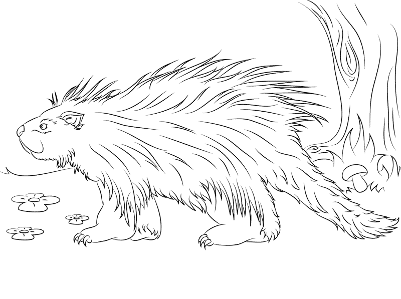 Desenho de Mamíferos para colorir e imprimir: número 3