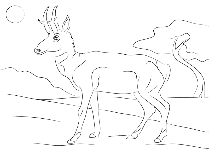 Desenho de Mamíferos para colorir e imprimir: número 8