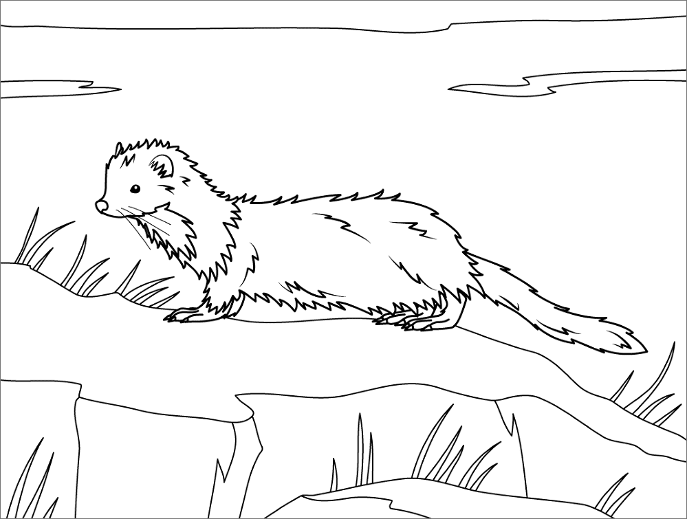 Desenho de Mamíferos para colorir e imprimir: número 9