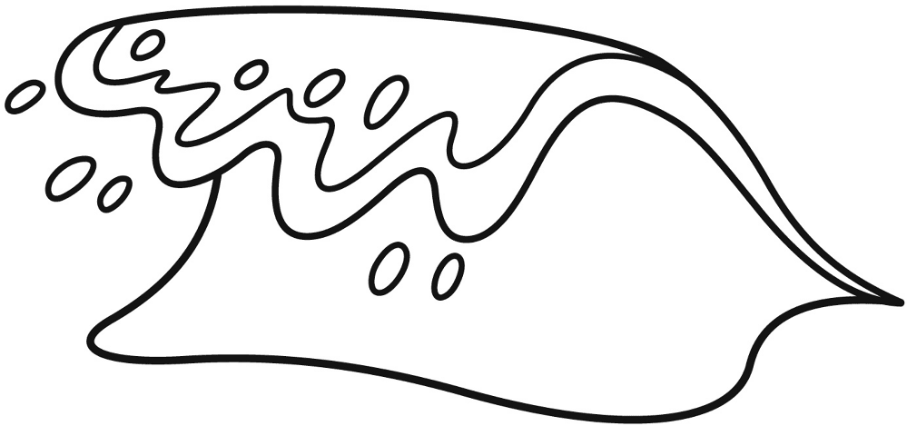 Desenho de Mar para colorir e imprimir: número 12