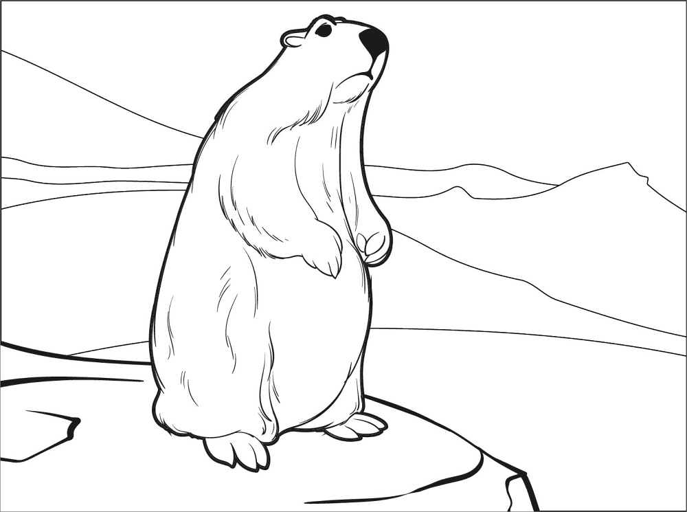 Desenho de Marmotas para colorir e imprimir: número 10
