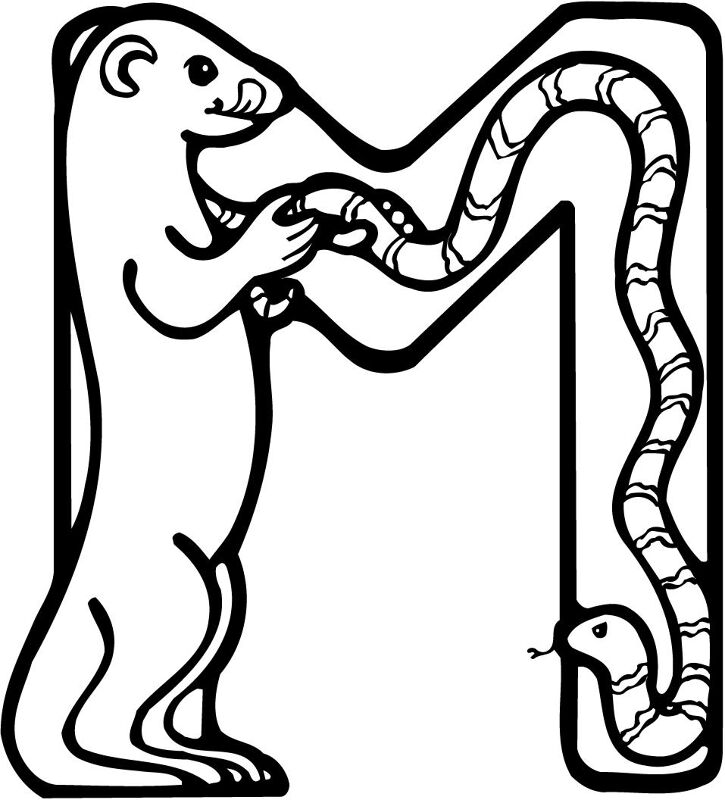 Desenho de Marmotas para colorir e imprimir: número 15