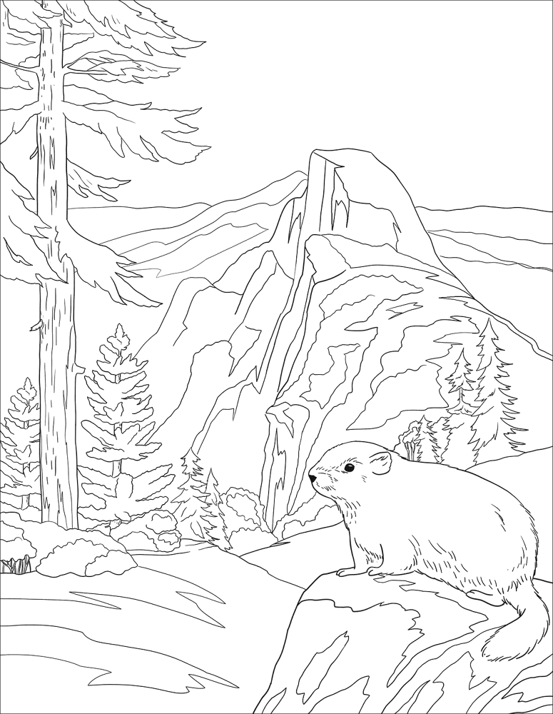 Desenho de Marmotas para colorir e imprimir: número 16