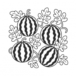 Desenho de Melancia para colorir e imprimir: número 21