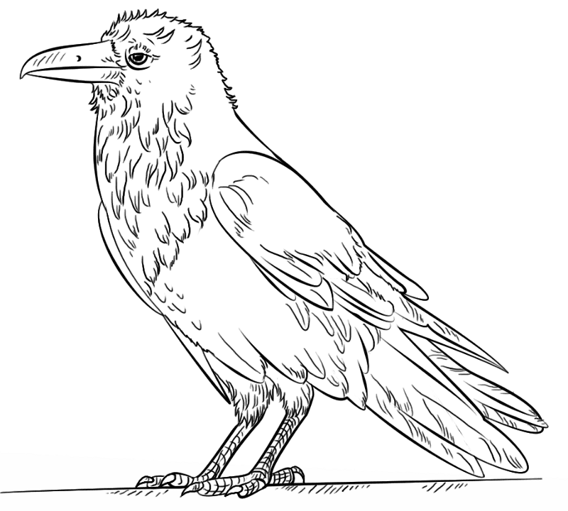 Desenho de Mito para colorir e imprimir: número 40