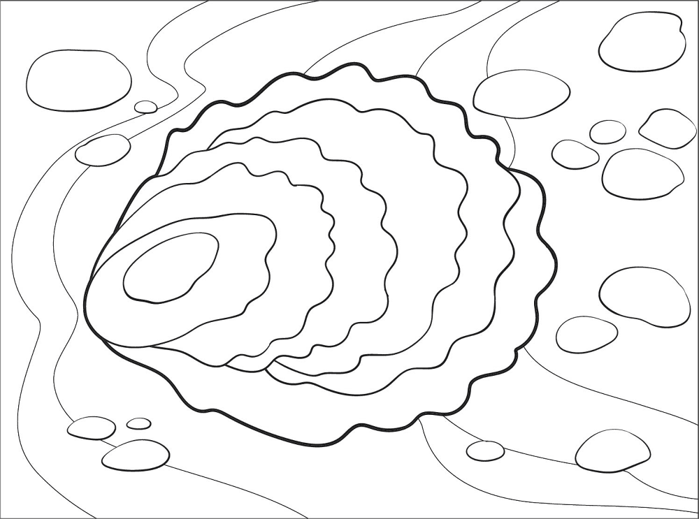 Desenho de Moluscos para colorir e imprimir: número 1