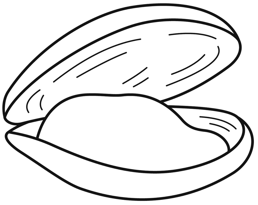 Desenho de Moluscos para colorir e imprimir: número 2