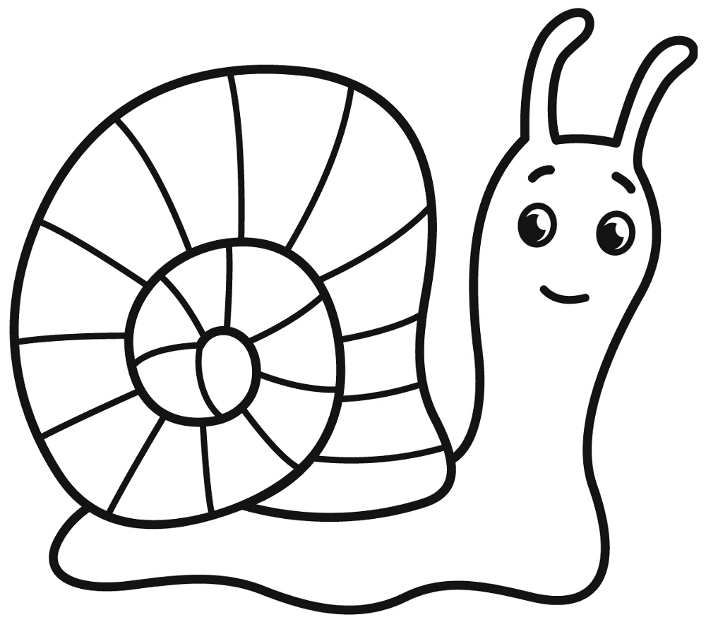 Desenho de Moluscos para colorir e imprimir: número 3
