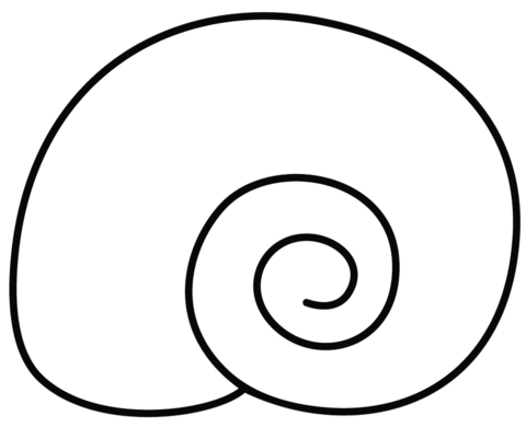 Desenho de Moluscos para colorir e imprimir: número 4
