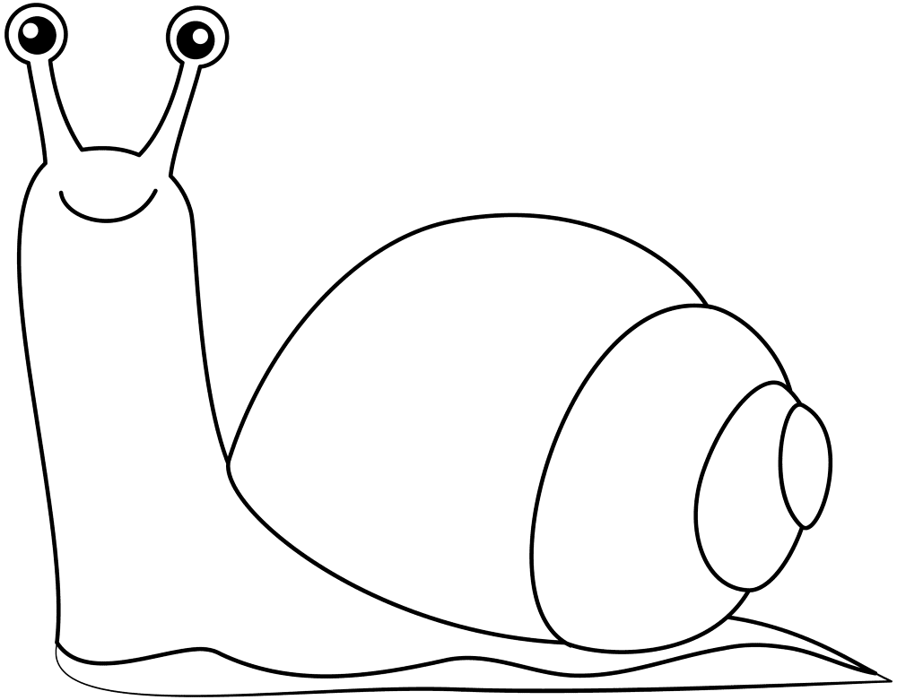 Desenho de Moluscos para colorir e imprimir: número 5