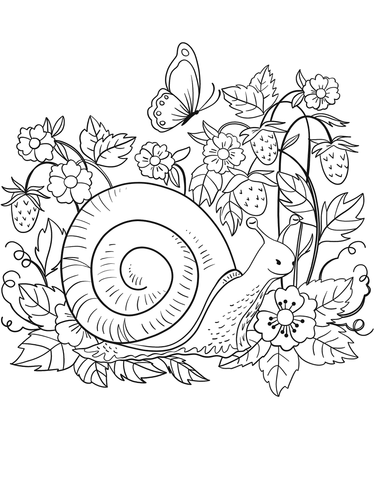 Desenho de Moluscos para colorir e imprimir: número 10
