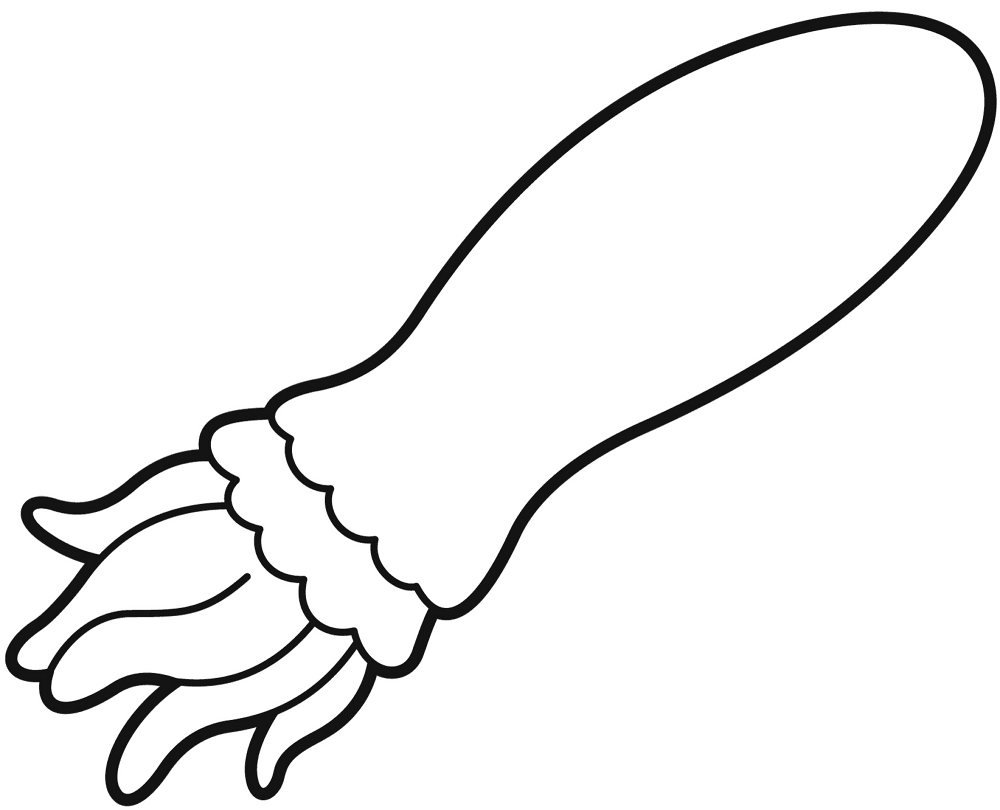 Desenho de Moluscos para colorir e imprimir: número 19