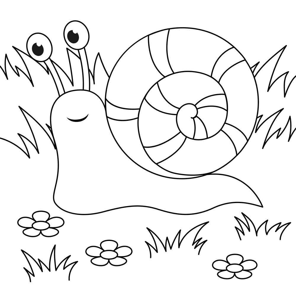 Desenho de Moluscos para colorir e imprimir: número 23