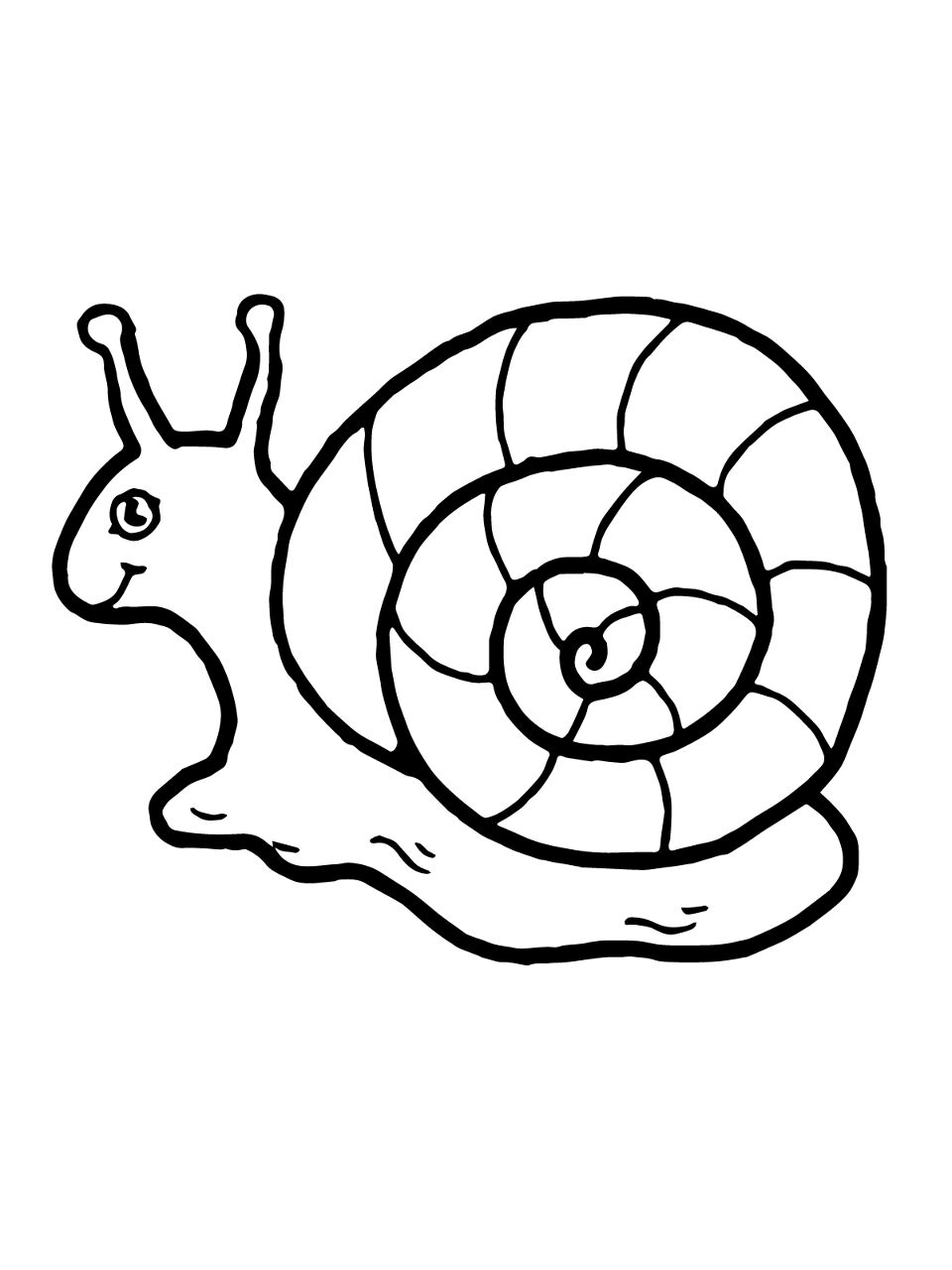 Desenho de Moluscos para colorir e imprimir: número 24