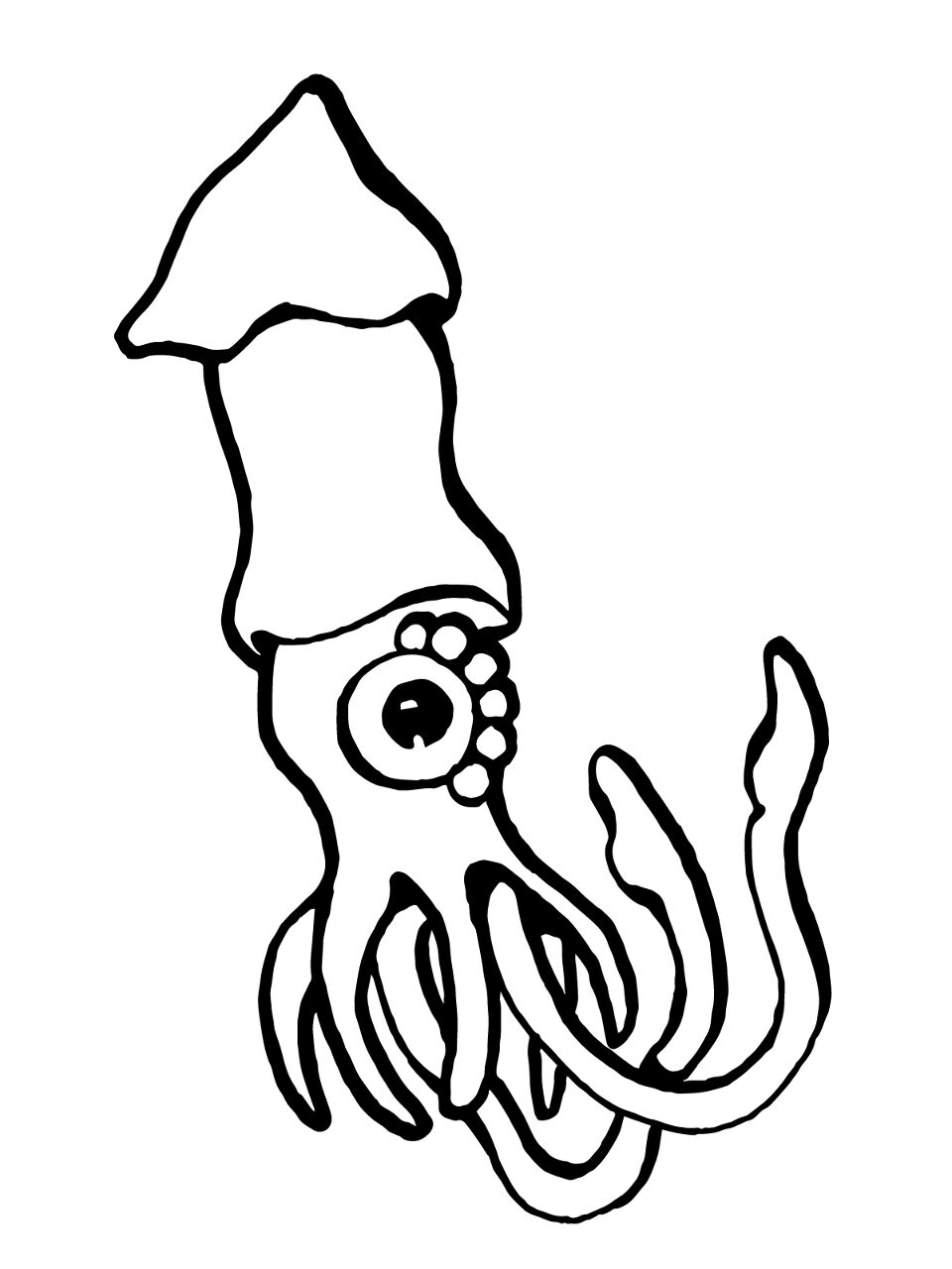 Desenho de Moluscos para colorir e imprimir: número 25