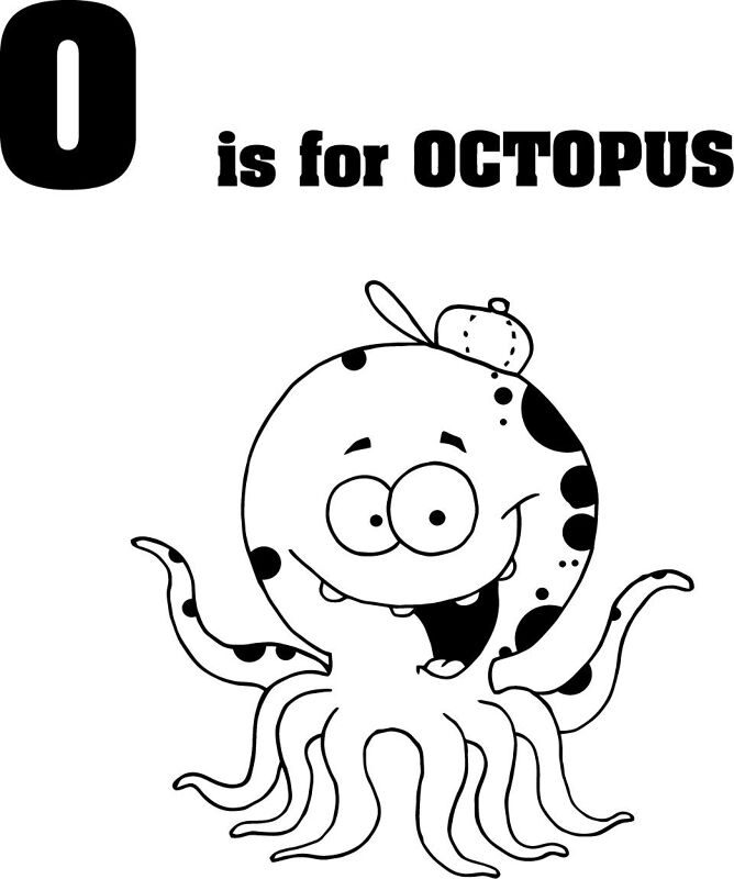 Desenho de Moluscos para colorir e imprimir: número 30