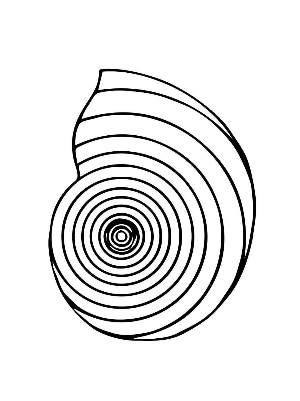 Desenho de Moluscos para colorir e imprimir: número 34