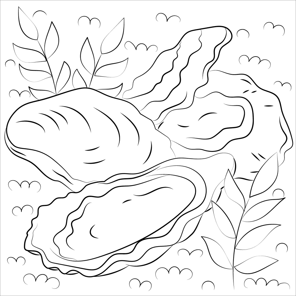 Desenho de Moluscos para colorir e imprimir: número 35