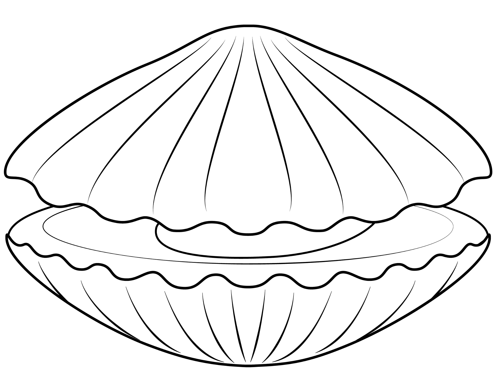Desenho de Moluscos para colorir e imprimir: número 44