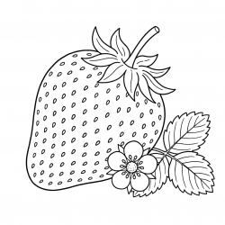 Desenho de Morango para colorir e imprimir: número 20