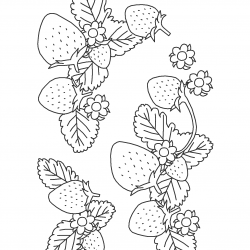 Desenho de Morango para colorir e imprimir: número 22