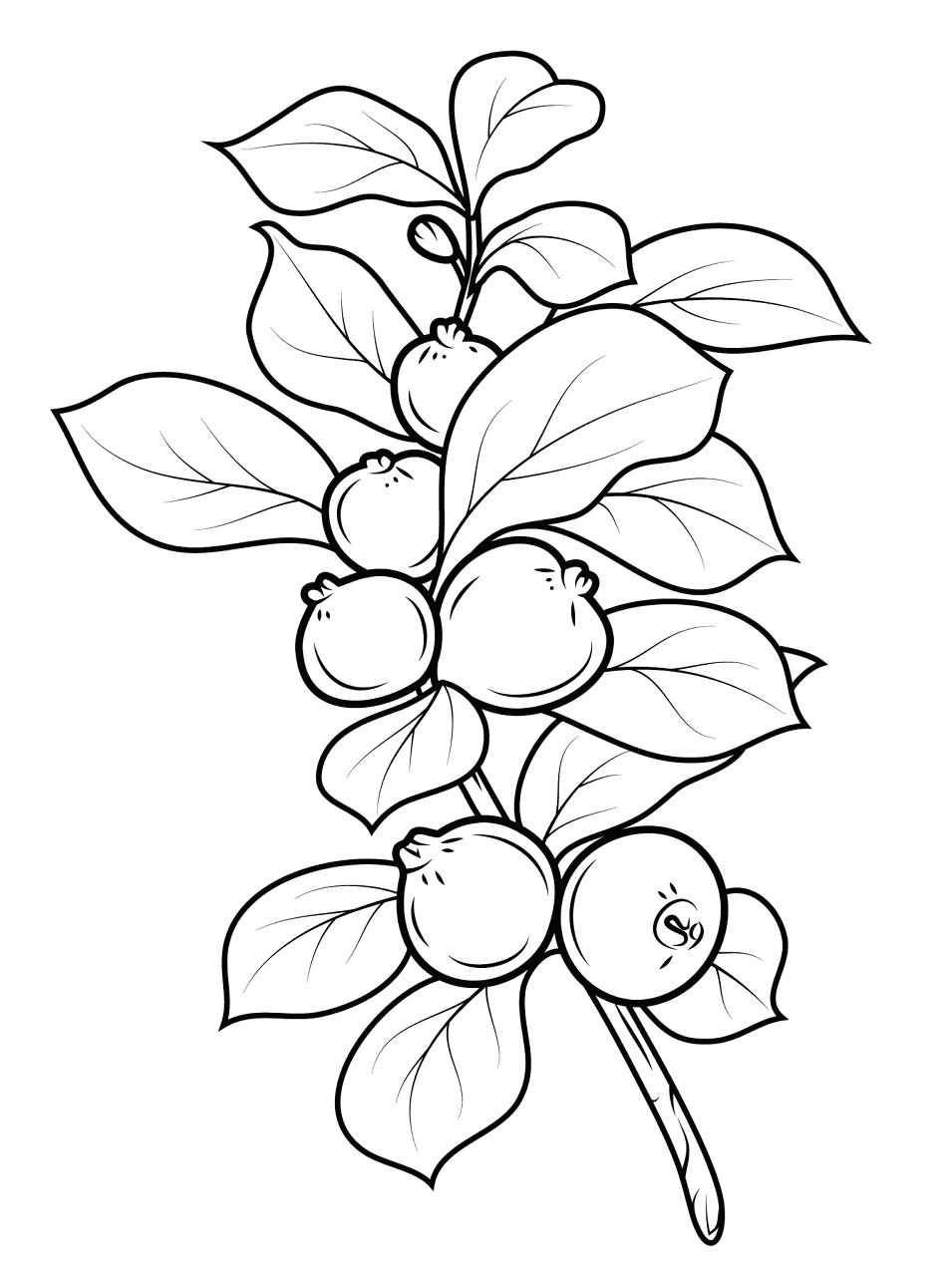 Desenho de Morango para colorir e imprimir: número 25