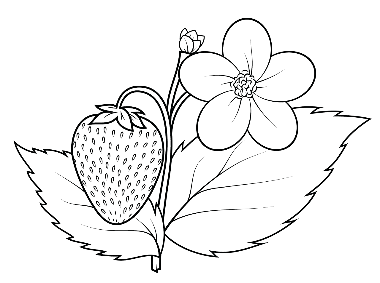 Desenho de Morango para colorir e imprimir: número 26
