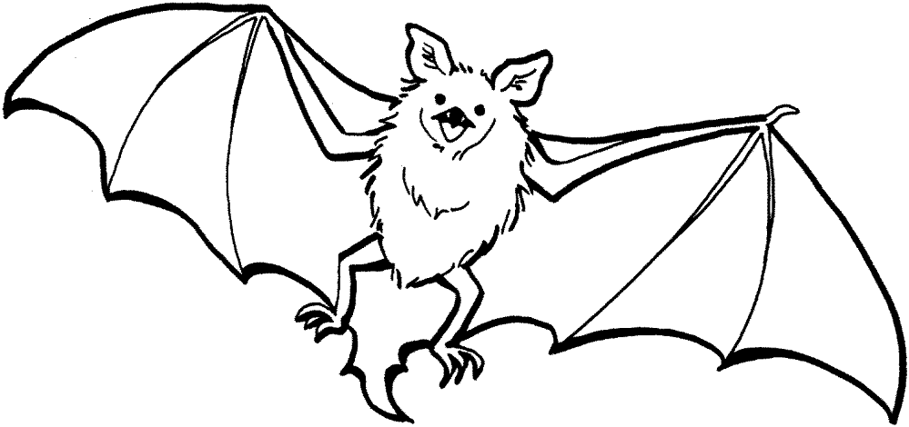 Desenho de Morcegos para colorir e imprimir: número 31