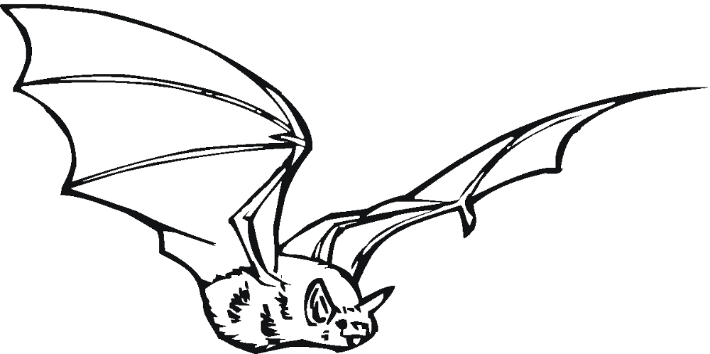 Desenho de Morcegos para colorir e imprimir: número 34