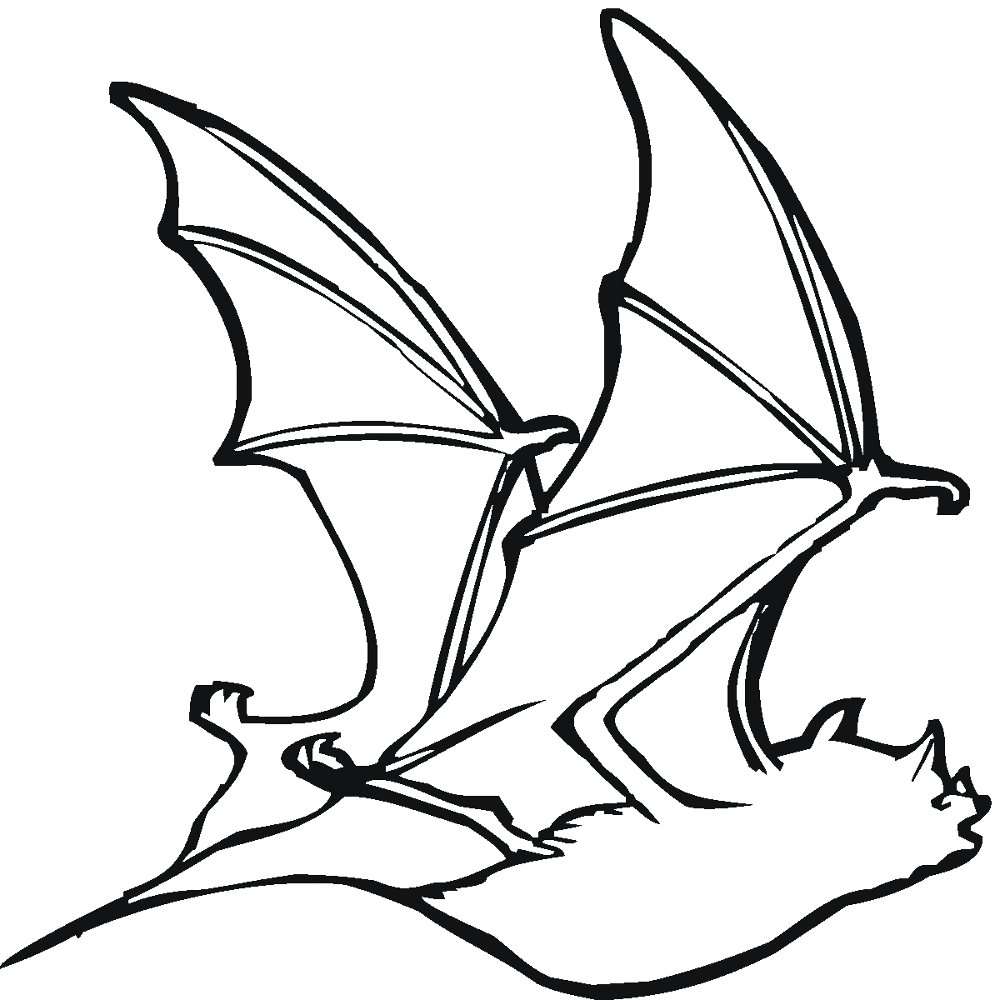 Desenho de Morcegos para colorir e imprimir: número 35