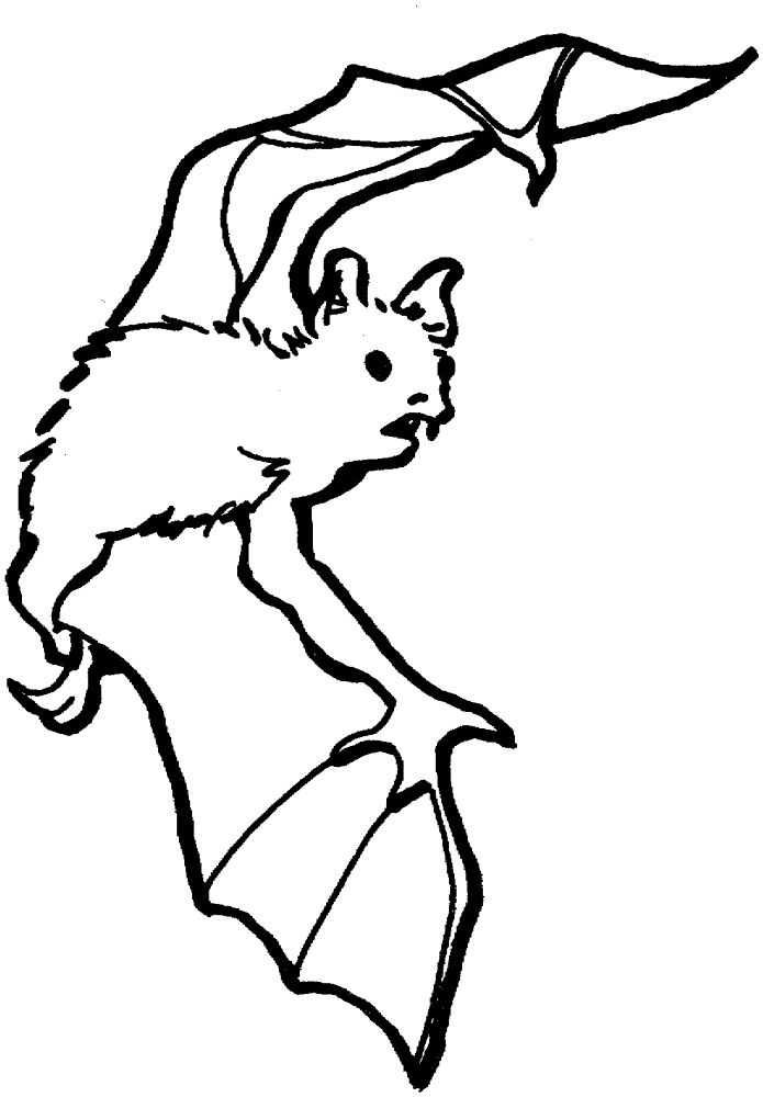 Desenho de Morcegos para colorir e imprimir: número 36