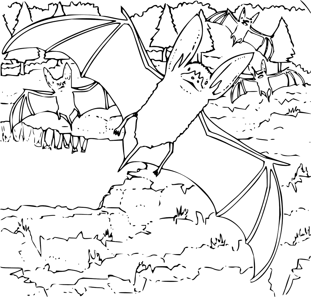 Desenho de Morcegos para colorir e imprimir: número 39