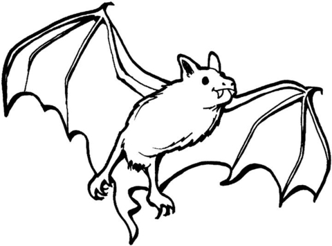 Desenho de Morcegos para colorir e imprimir: número 40