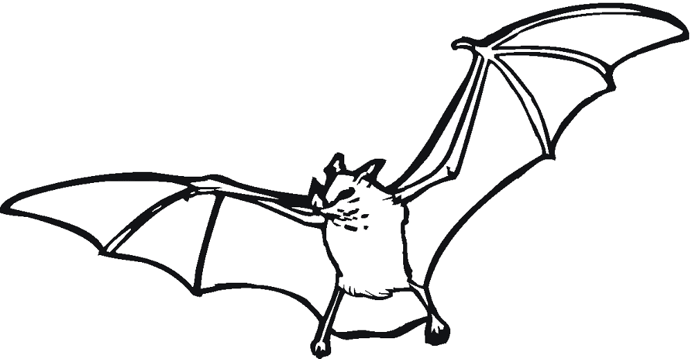 Desenho de Morcegos para colorir e imprimir: número 46