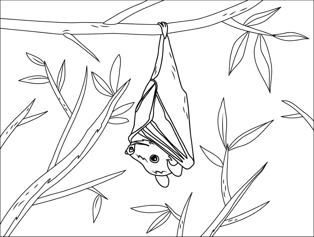 Desenho de Morcegos para colorir