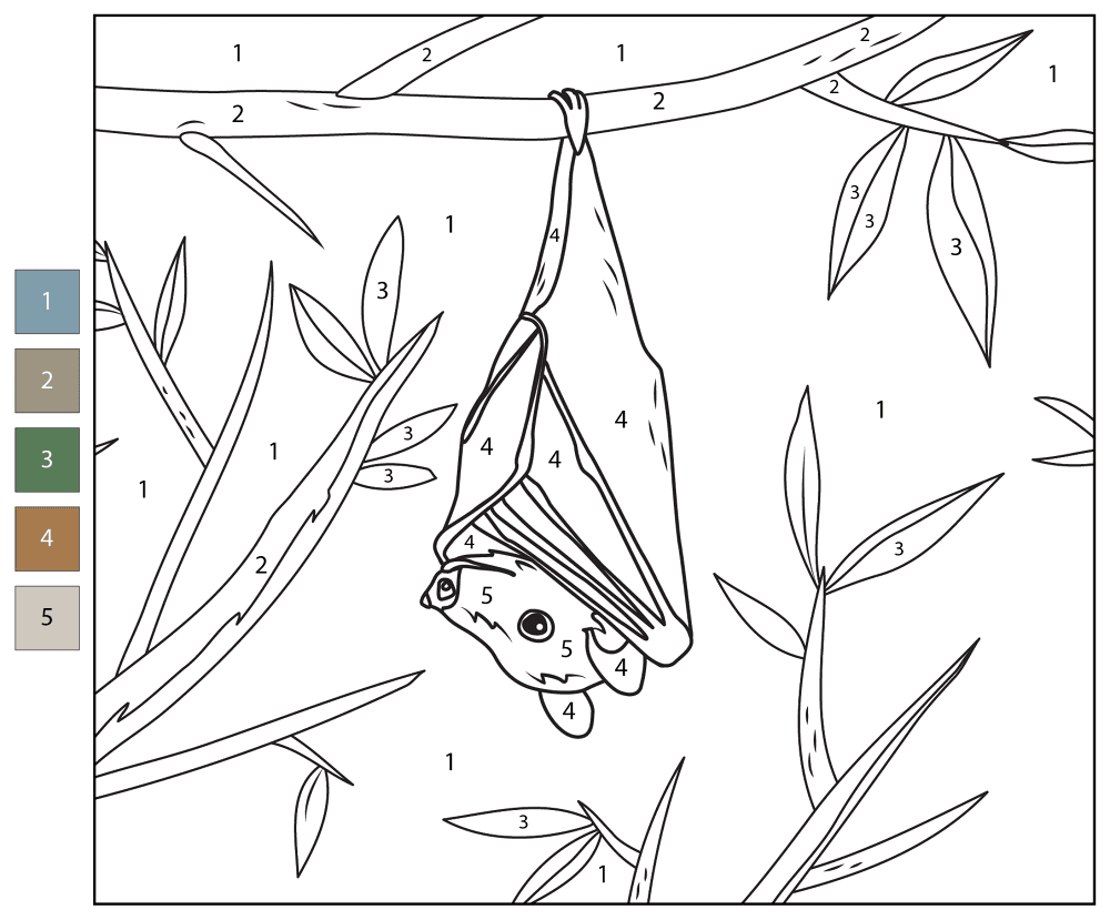 Desenho de Morcegos para colorir