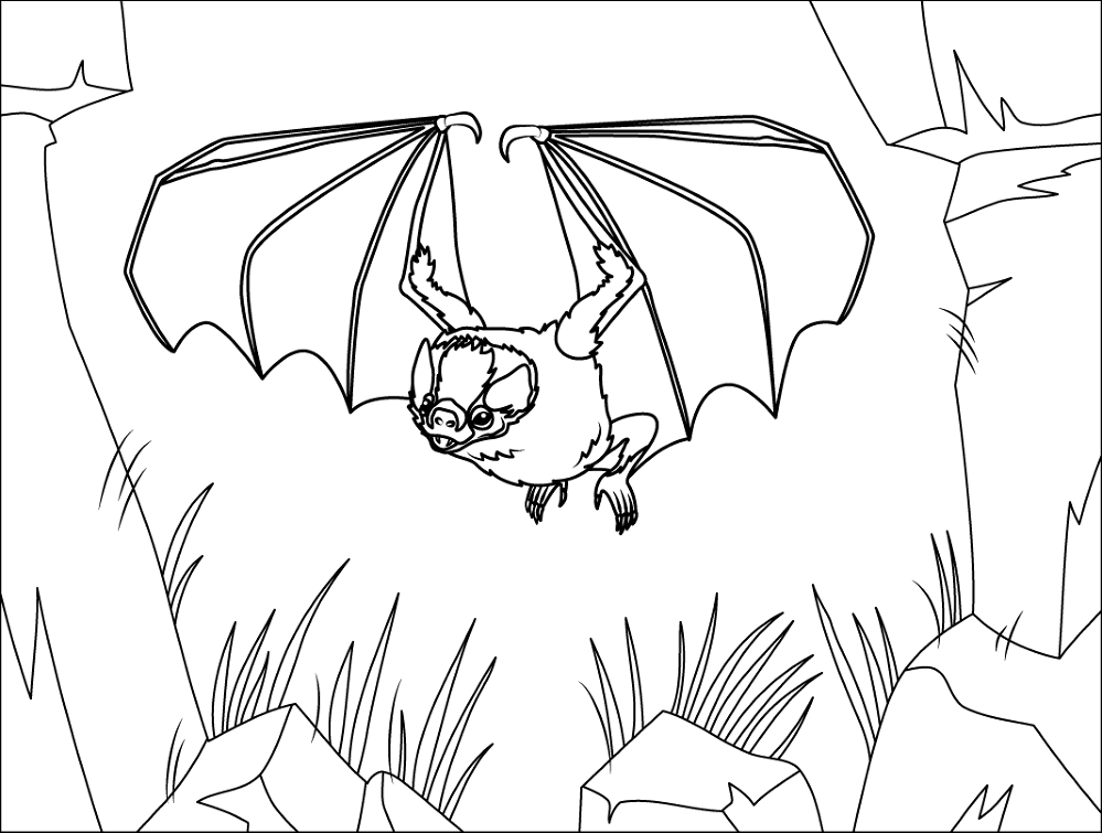 Desenho de Morcegos para colorir