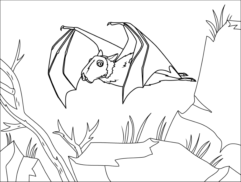 Desenho de Morcegos para colorir