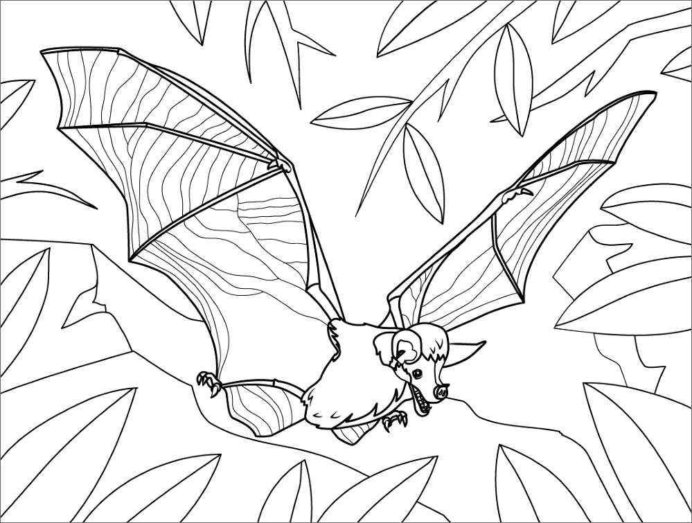 Desenho de Morcegos para colorir
