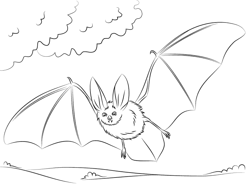 Desenho de Morcegos para colorir