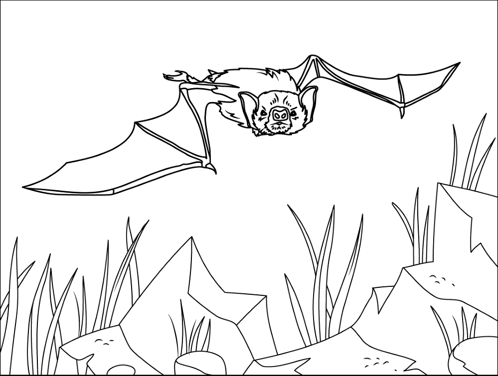 Desenho de Morcegos para colorir