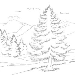Desenho de Natureza para colorir e imprimir: número 1
