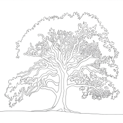 Desenho de Natureza para colorir e imprimir: número 12
